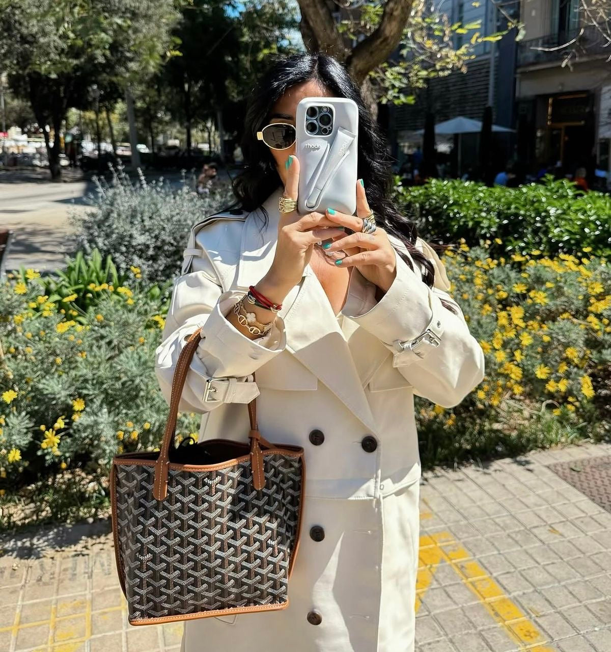Goyard Goyardine Mini Anjou Bag (Black And Tan)