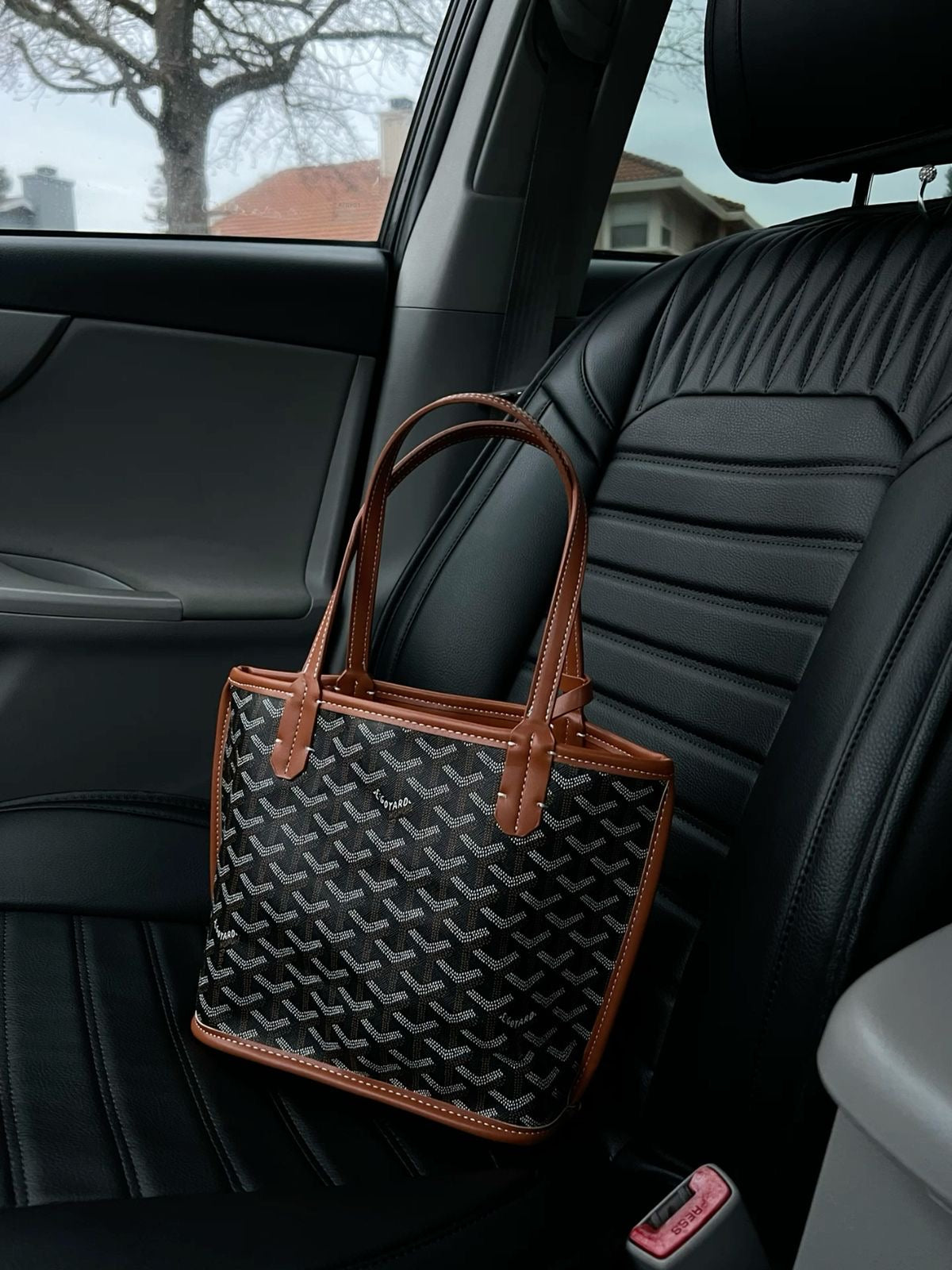 Goyard Goyardine Mini Anjou Bag (Black And Tan)