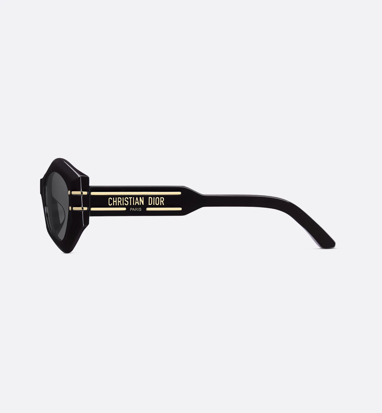 Christian Dior Diorsignature B1U Sunglasses