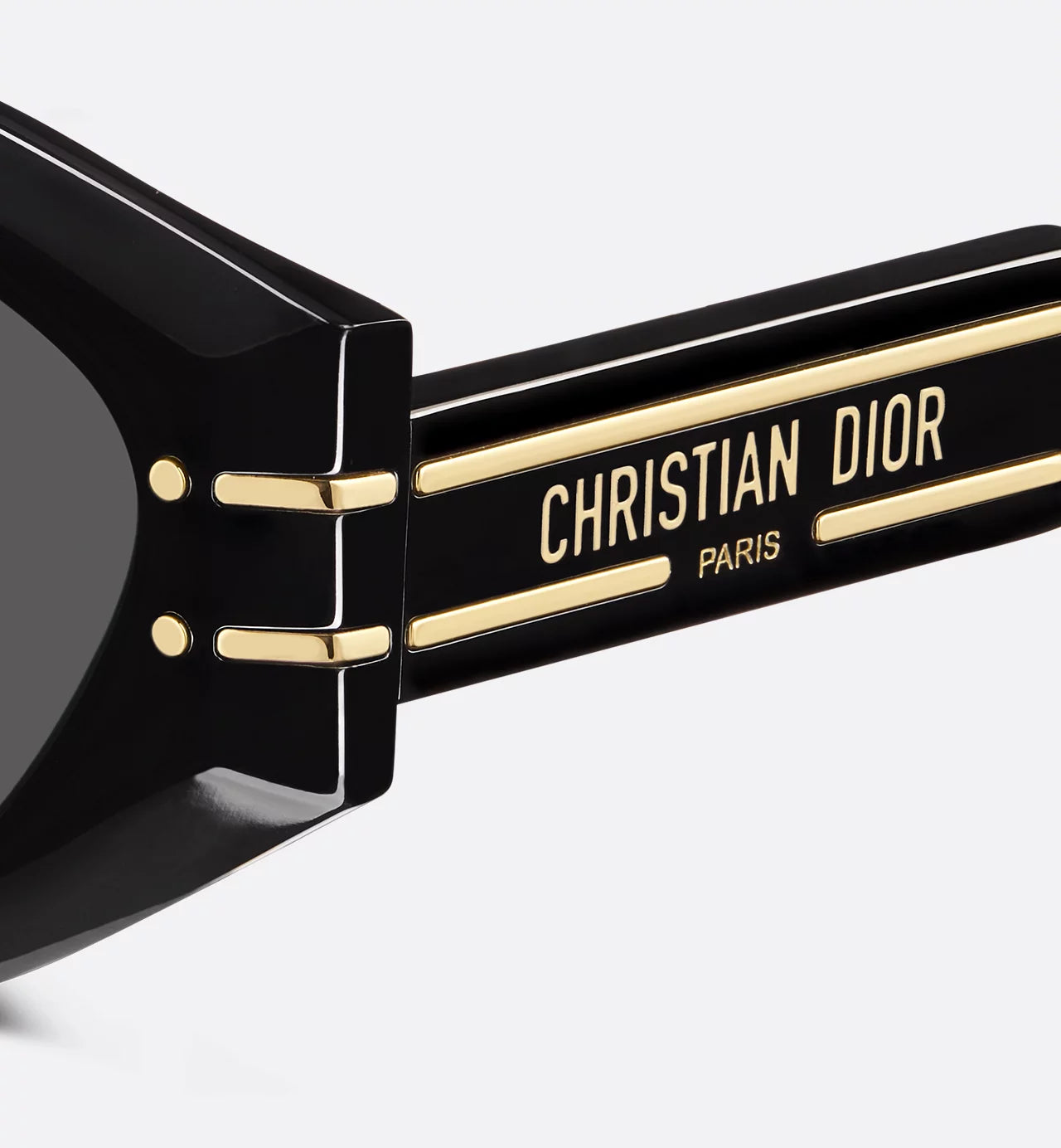 Christian Dior Diorsignature B1U Sunglasses