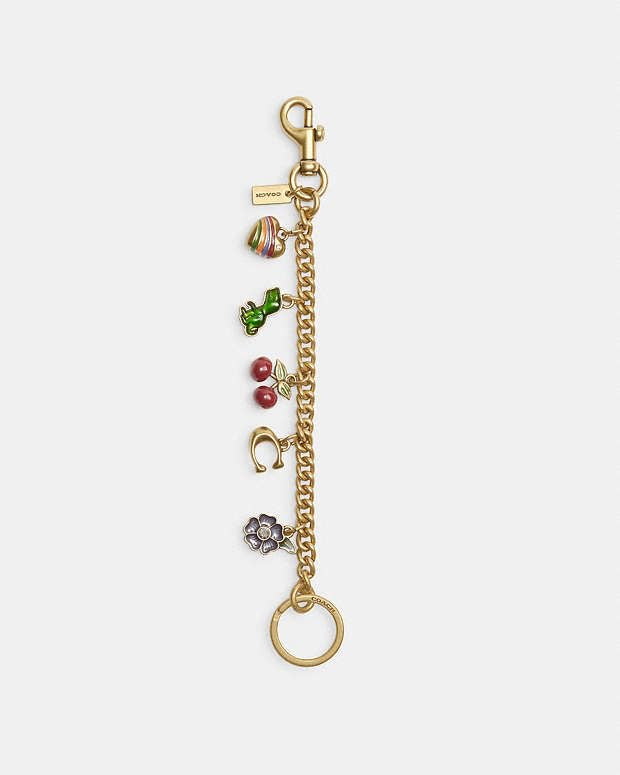Coach Cherry And Motif Charm