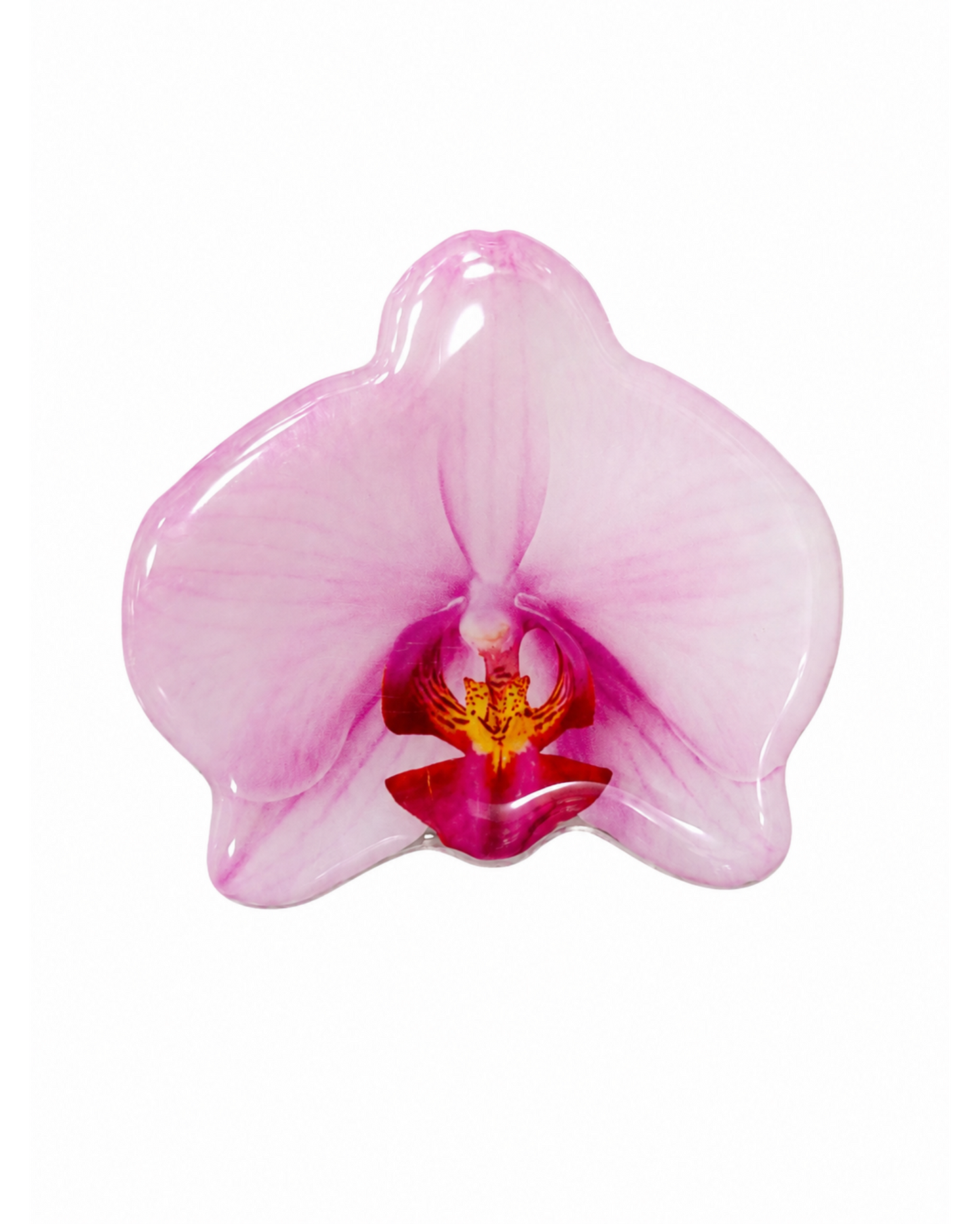 Petal PopSockets™ | Floral Phone Grips