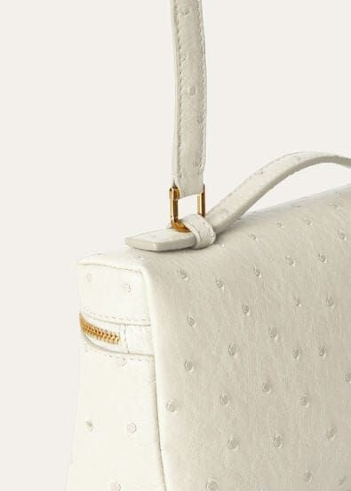 Loro Piana Extra Pocket L19 Ostrich Leather Bag