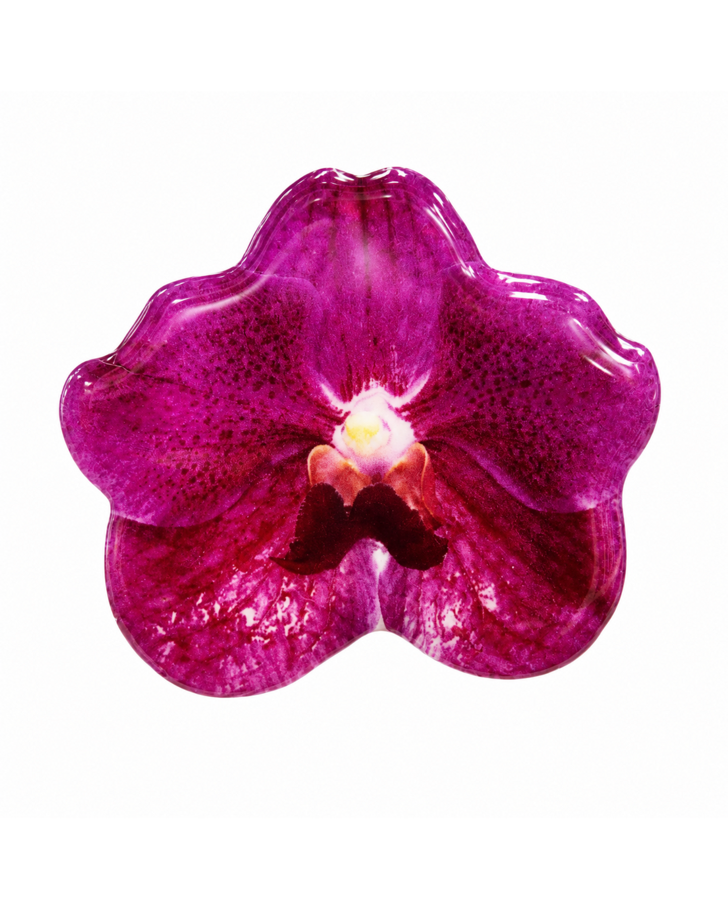 Petal PopSockets™ | Floral Phone Grips