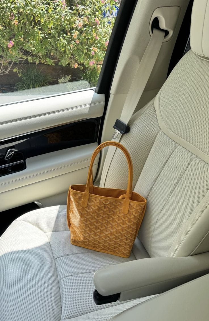 Goyard Goyardine Mini Anjou Bag (Yellow)
