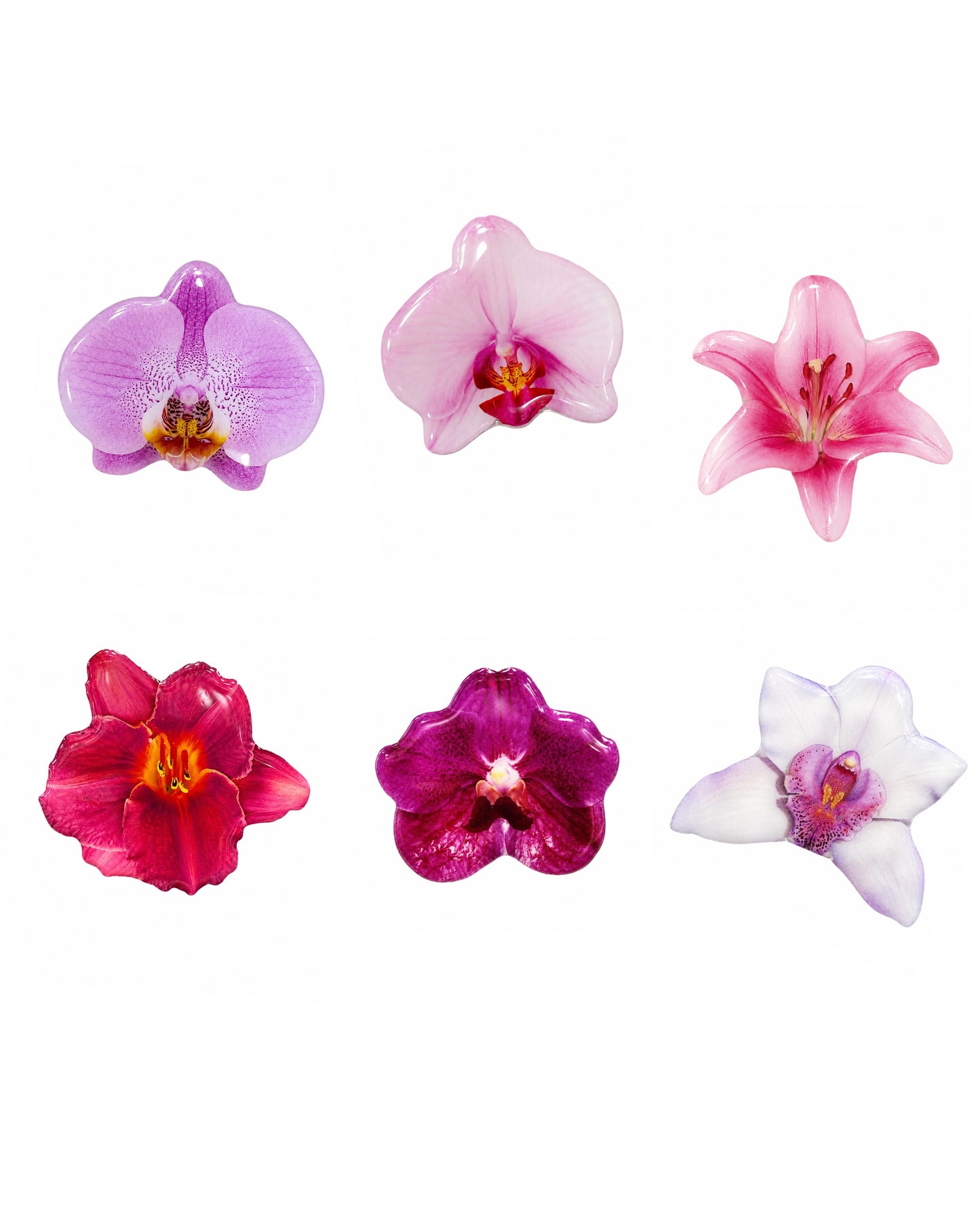 Petal PopSockets™ | Floral Phone Grips