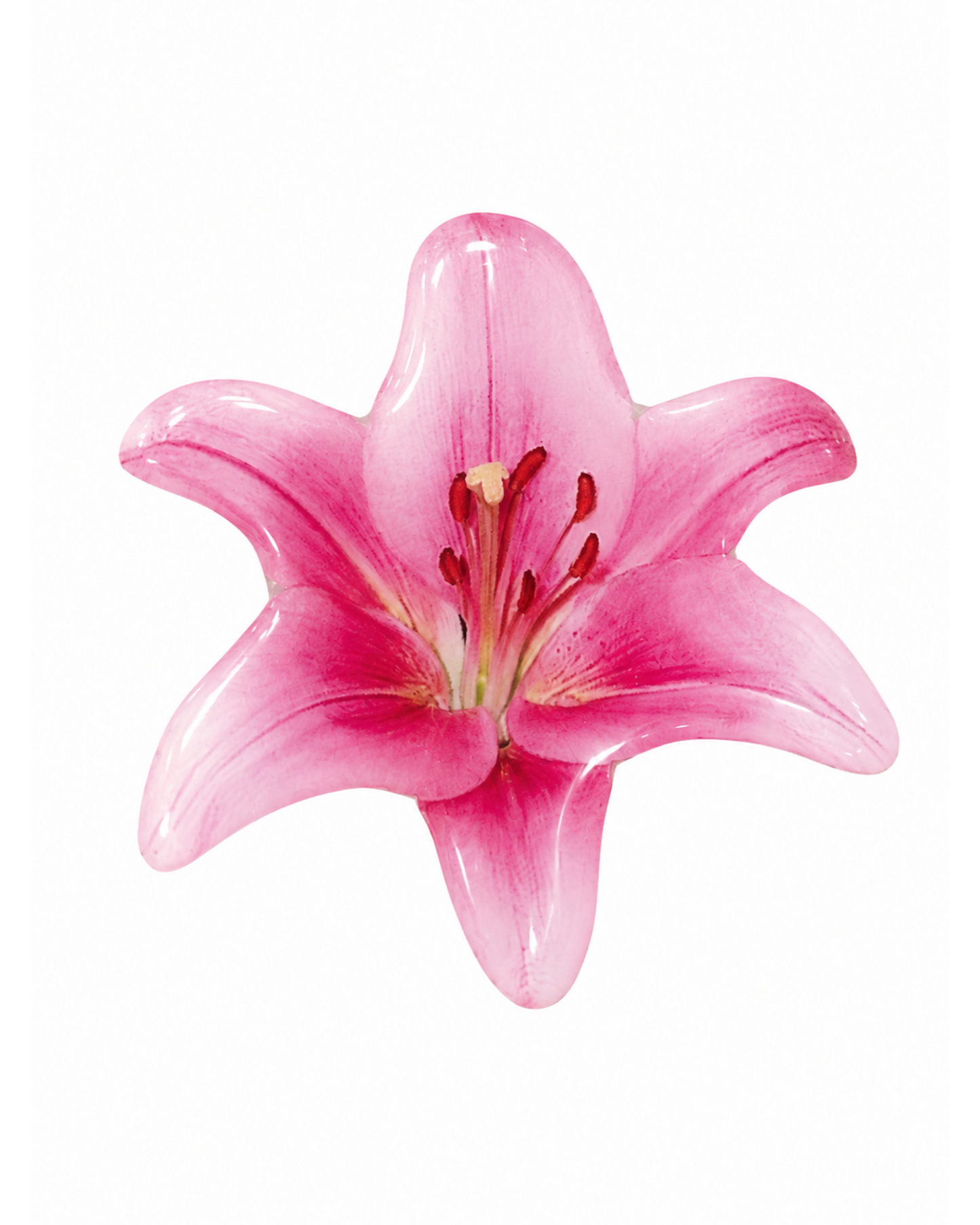 Petal PopSockets™ | Floral Phone Grips