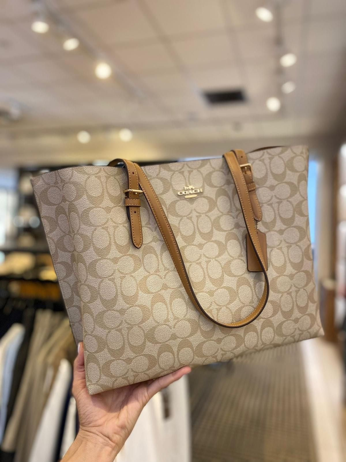 Coach Mollie Tote Bag In Signature Canvas (Tan/Brown)