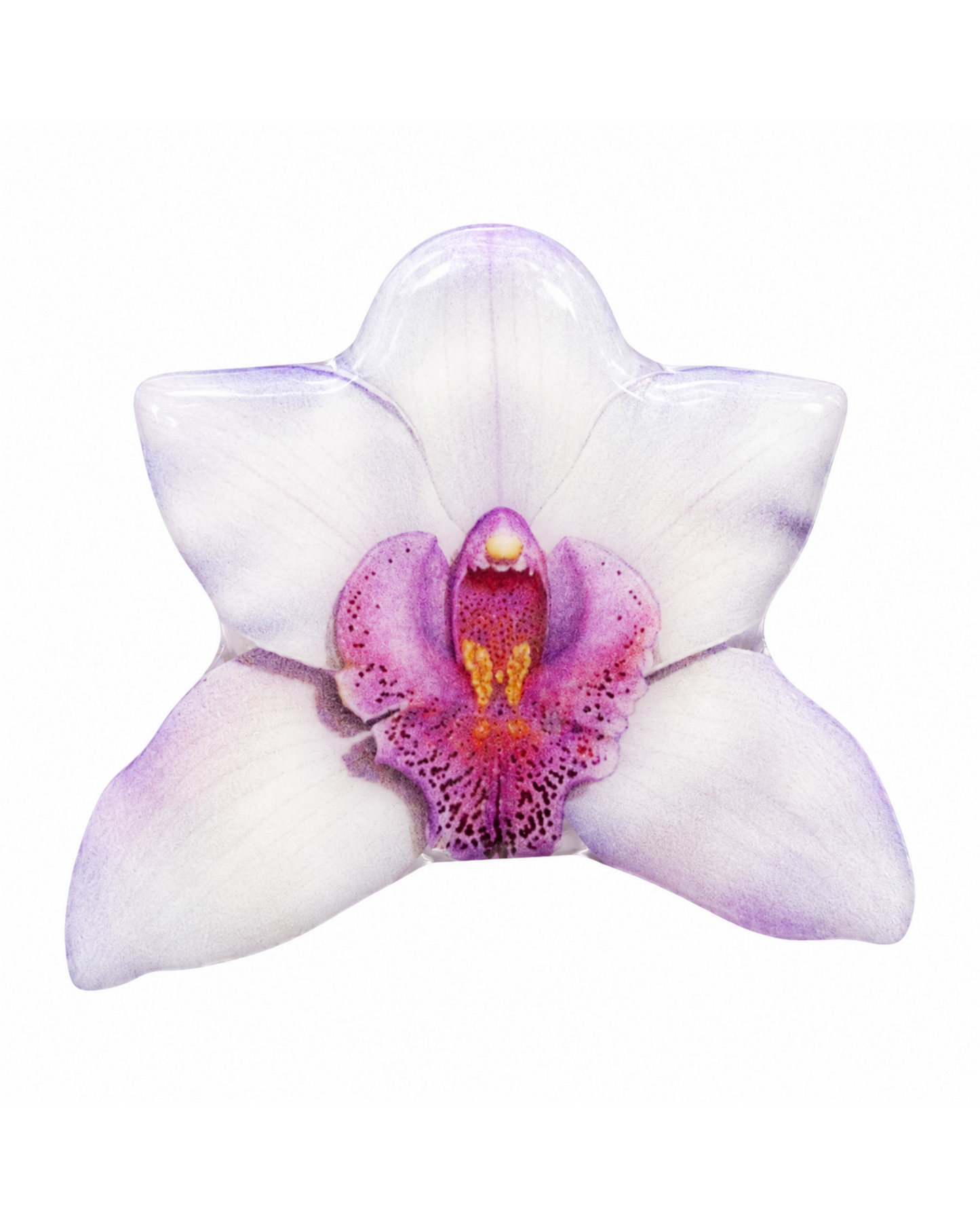 Petal PopSockets™ | Floral Phone Grips