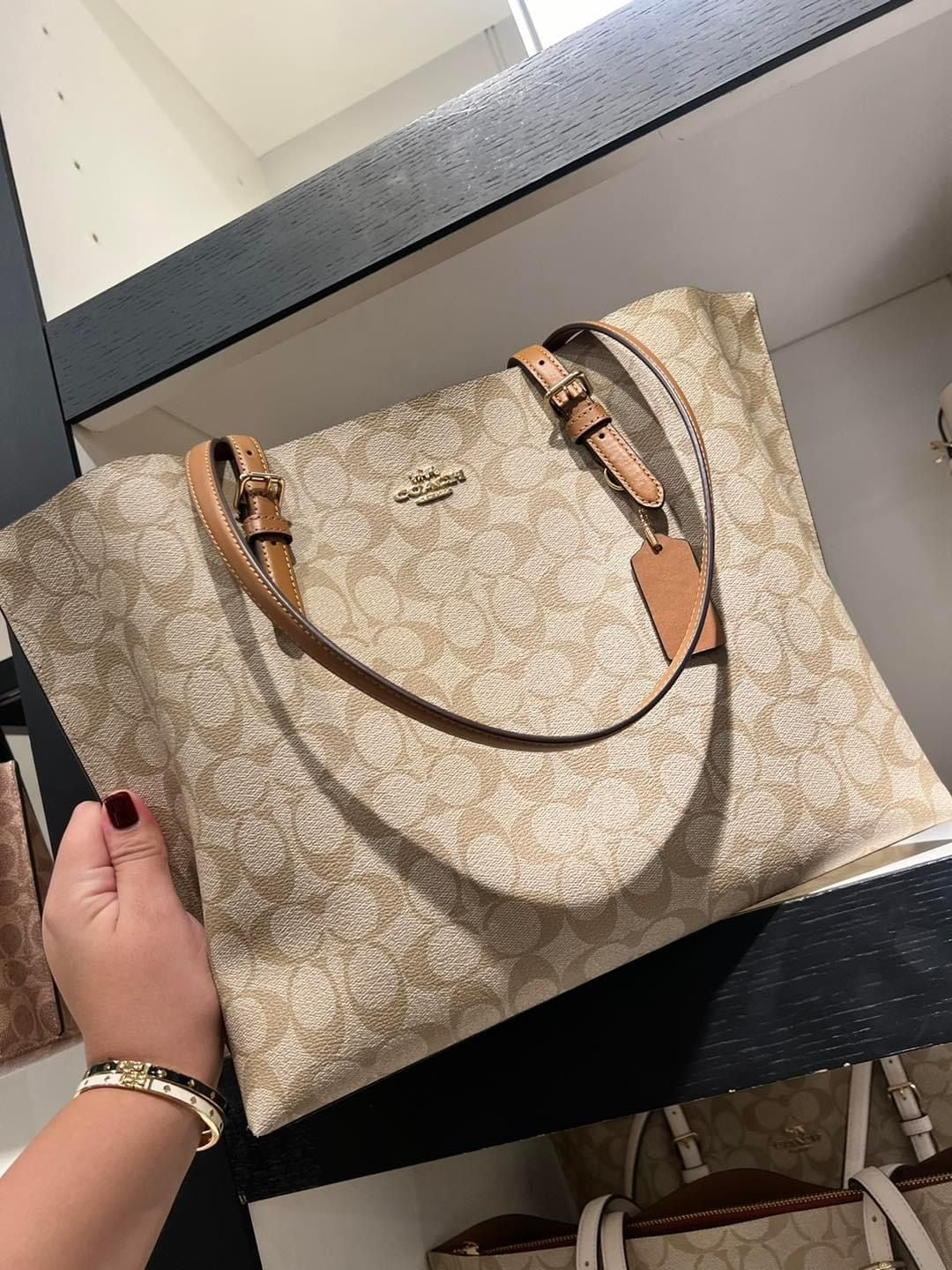 Coach Mollie Tote Bag In Signature Canvas (Tan/Brown)