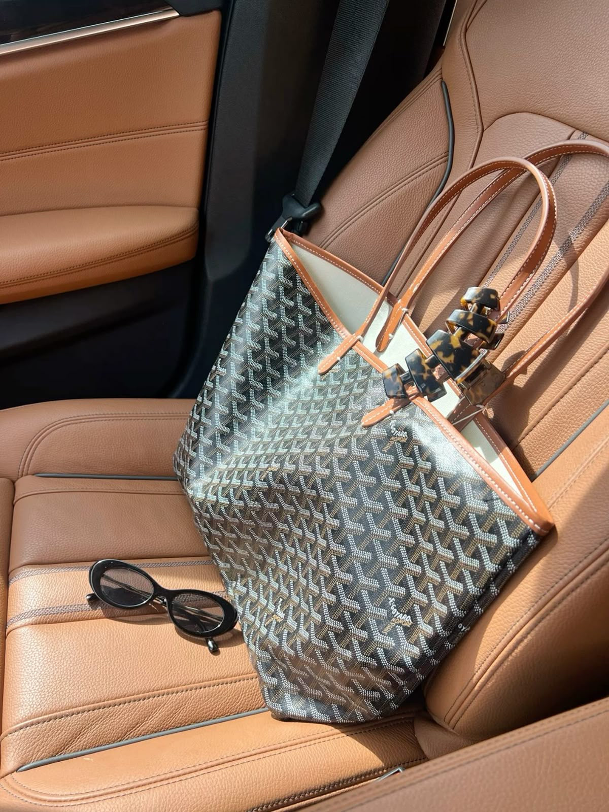 Goyard Saint Louis PM Bag