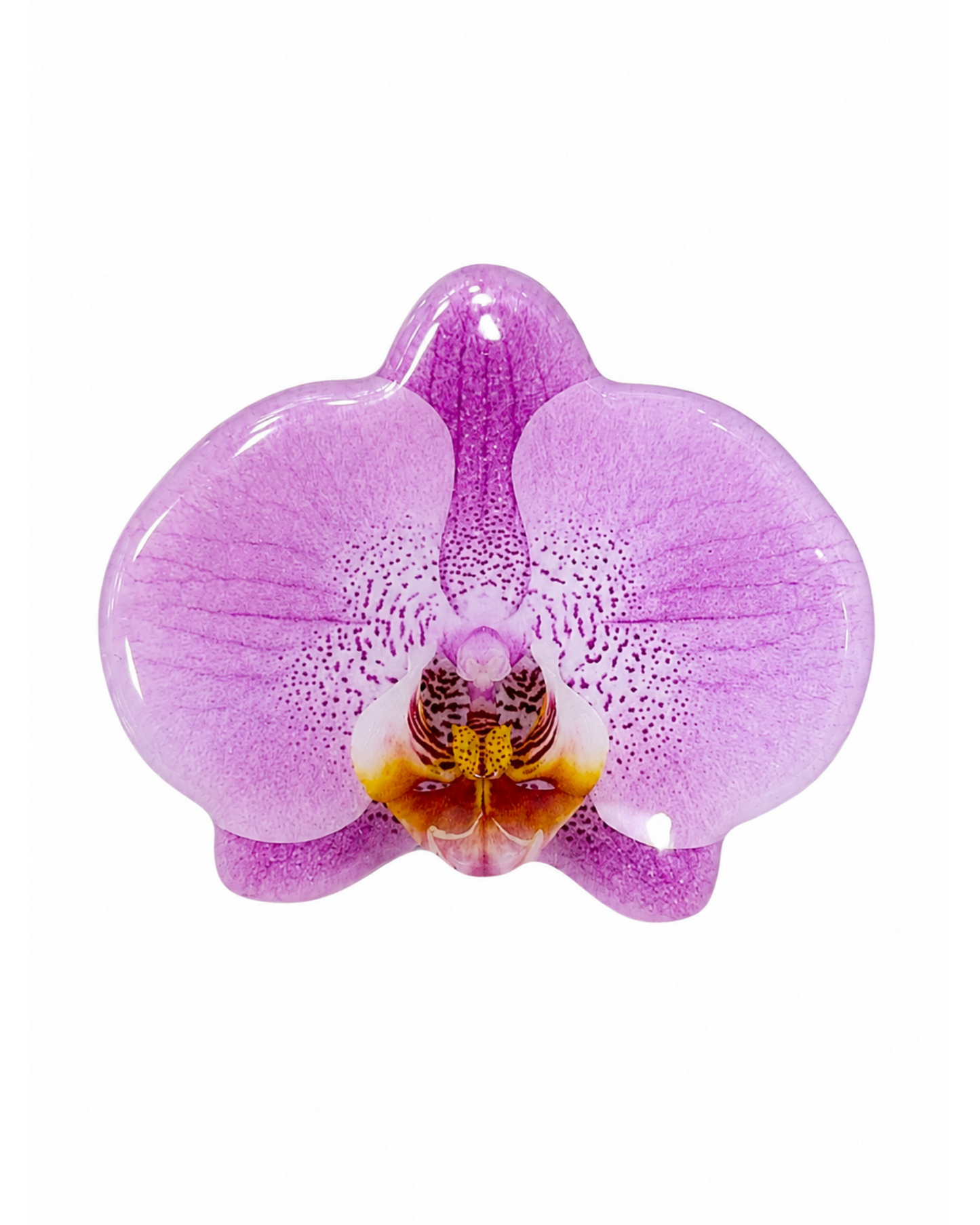 Petal PopSockets™ | Floral Phone Grips