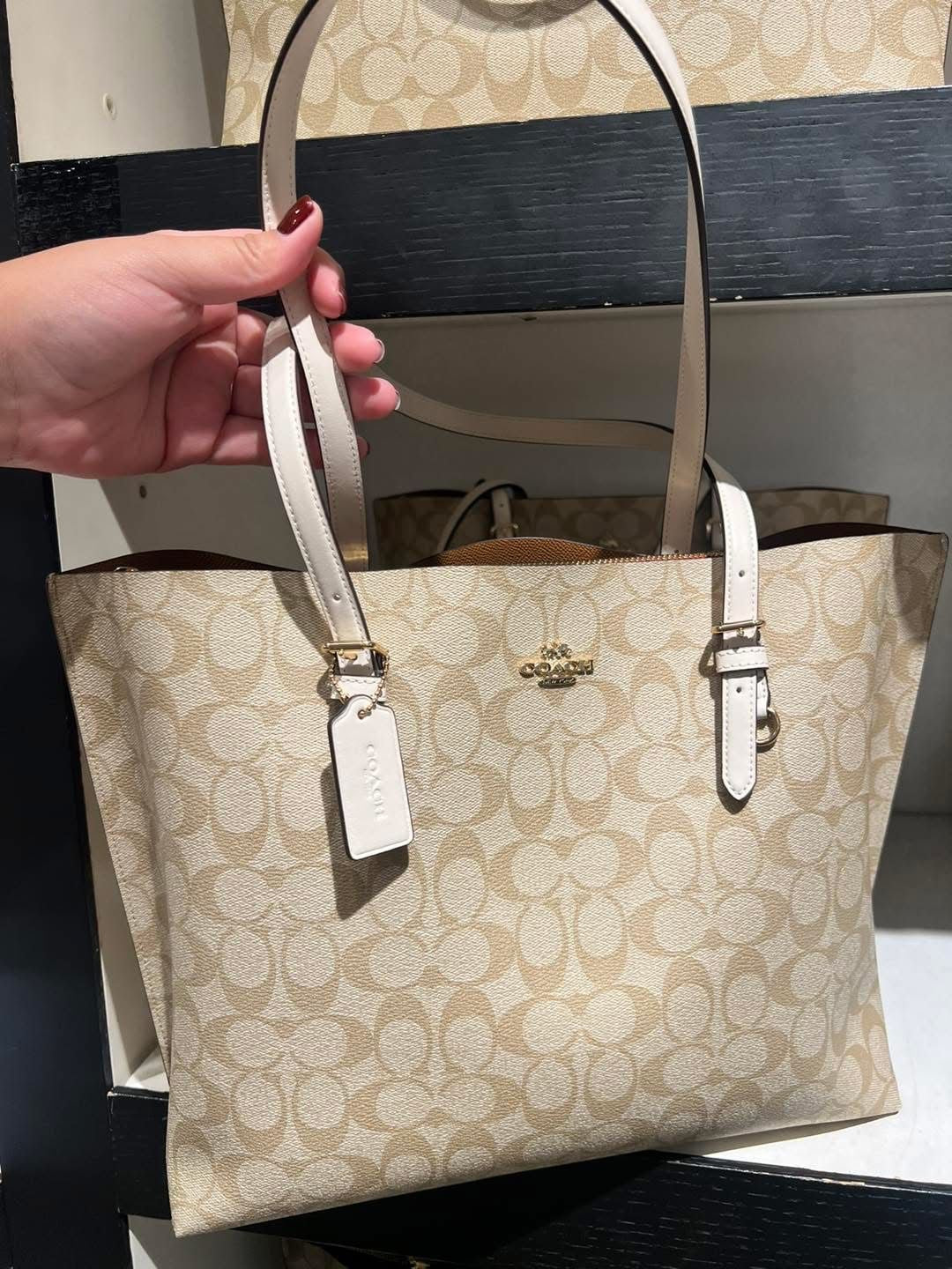 Coach Mollie Tote Bag In Signature Canvas (Tan/White)