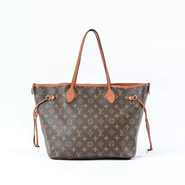 Louis Vuitton Neverfull Bag