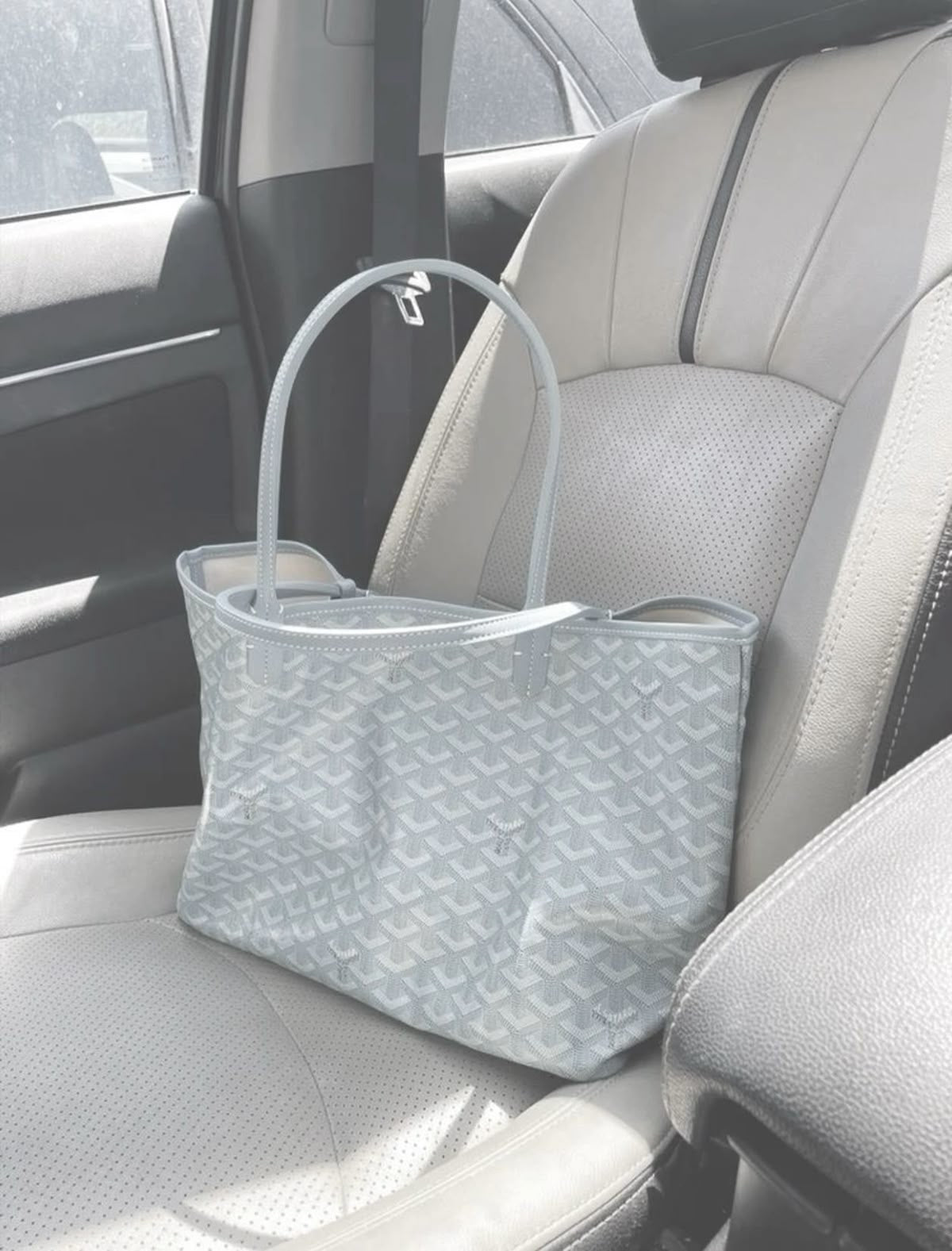 Goyard Saint Louis PM Bag