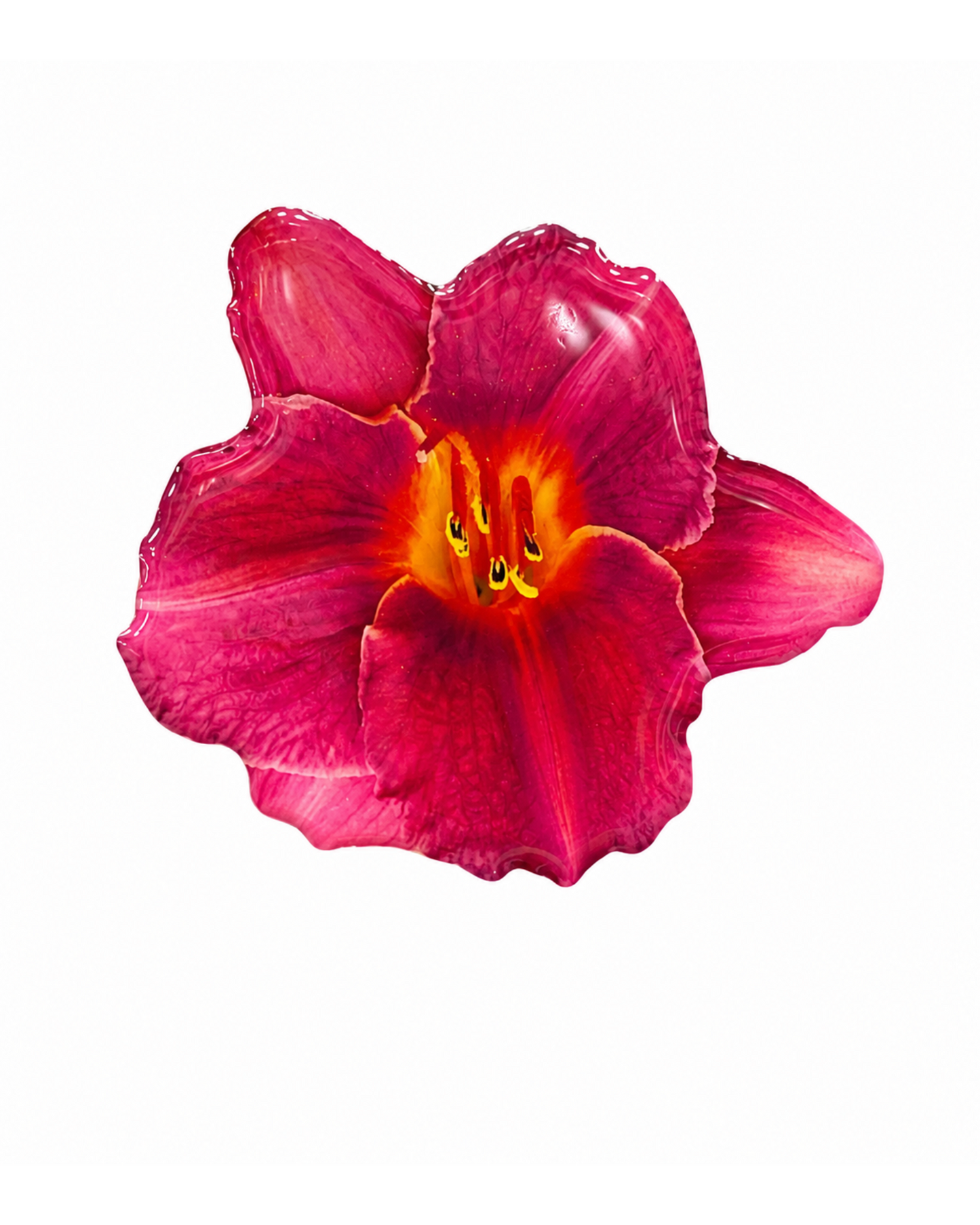 Petal PopSockets™ | Floral Phone Grips