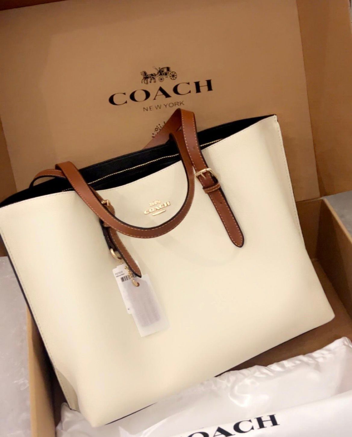 Coach Mollie Tote Bag In Signature Canvas (White)