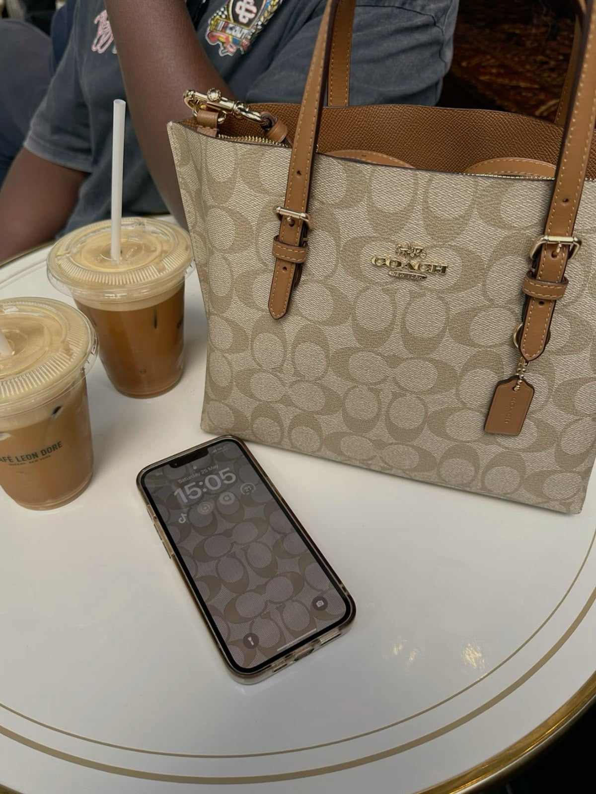 Coach Mollie Tote Bag In Signature Canvas (Tan/Brown)