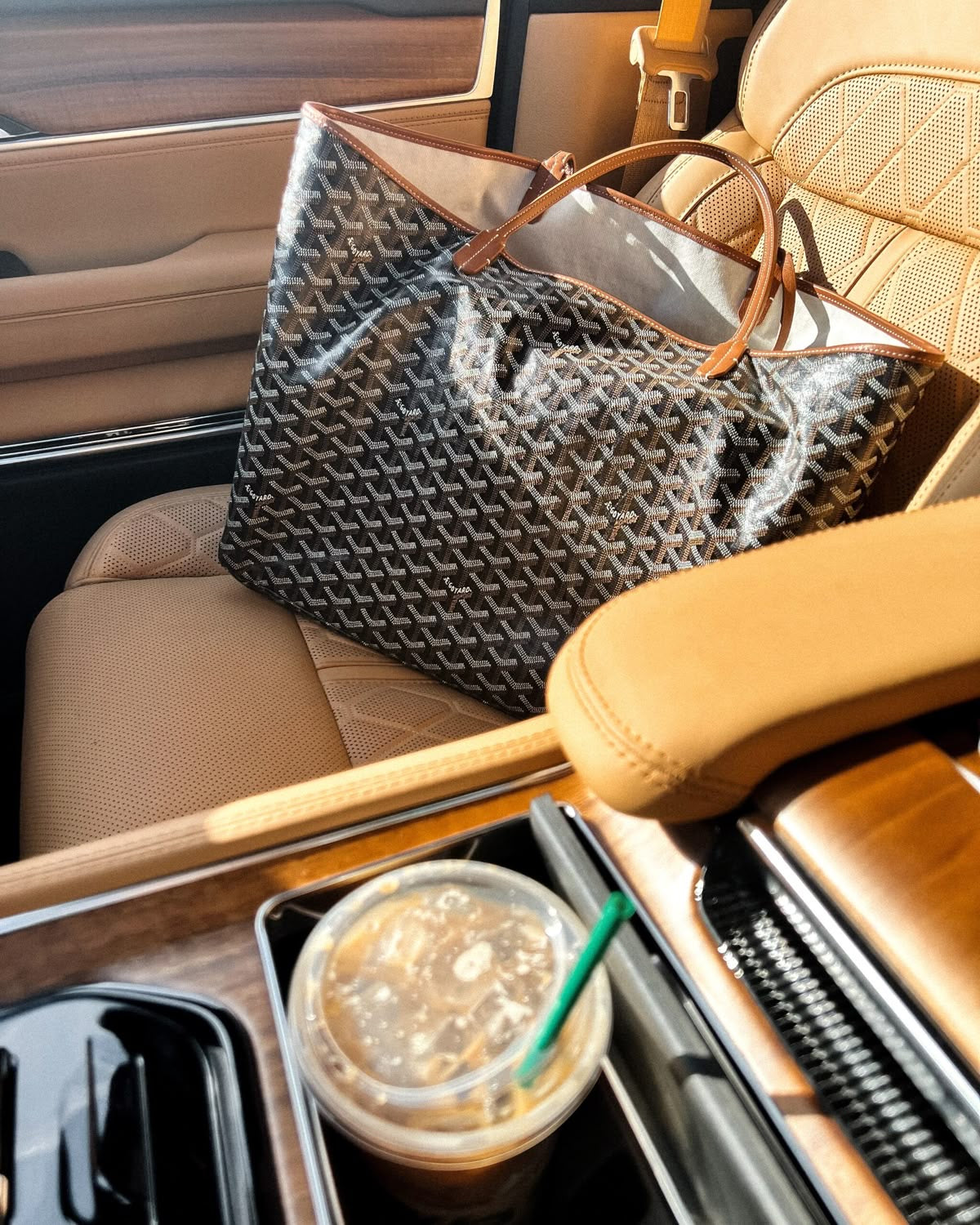 Goyard Saint Louis PM Bag