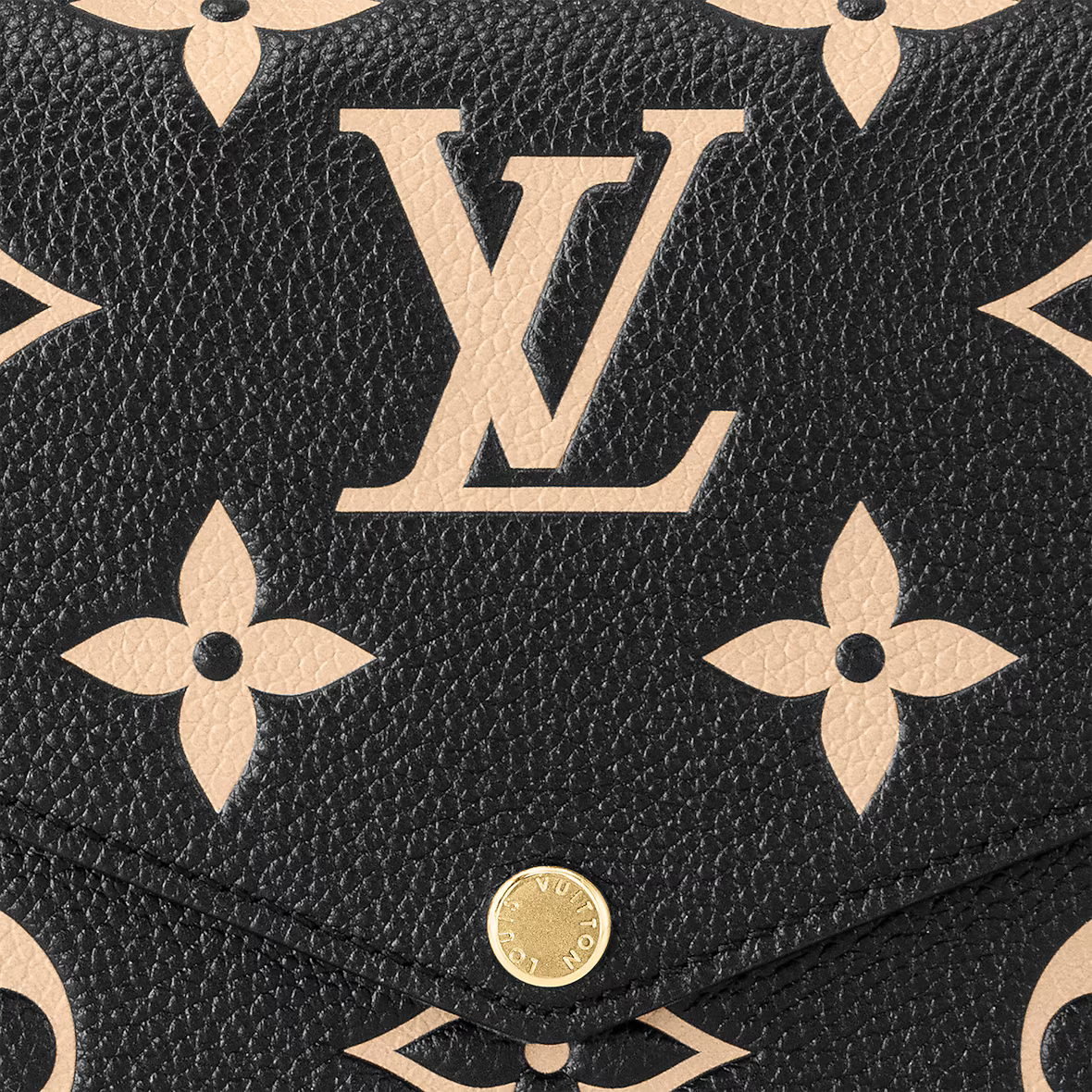Louis Vuitton Félicie Pochette Bag