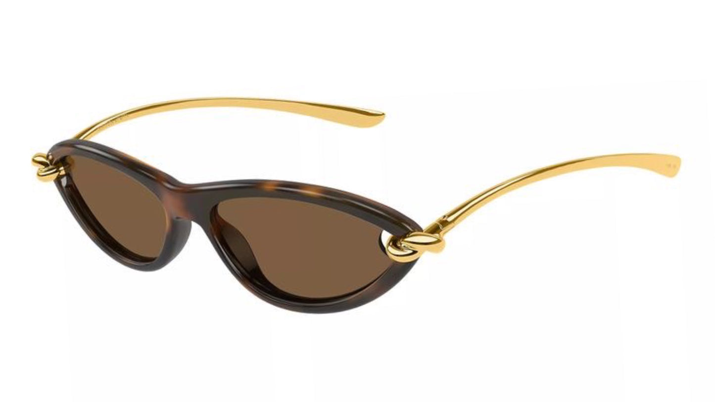 Bottega Veneta Knot Cat Eye Sunglasses - (Havana/gold/brown)