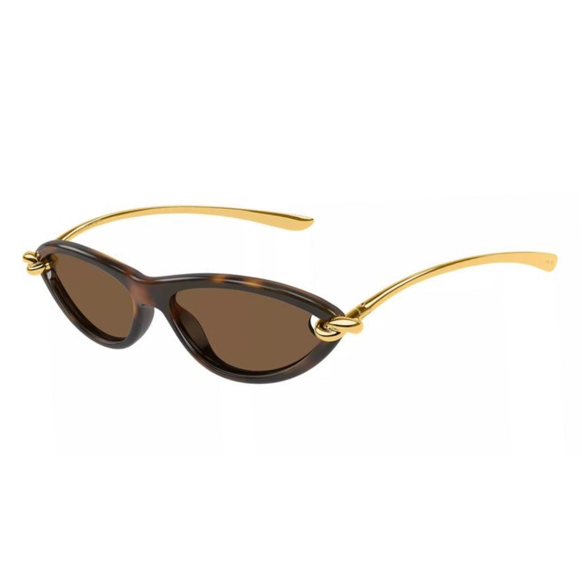 Bottega Veneta Knot Cat Eye Sunglasses - (Havana/gold/brown)